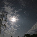 IMG_9024.JPG