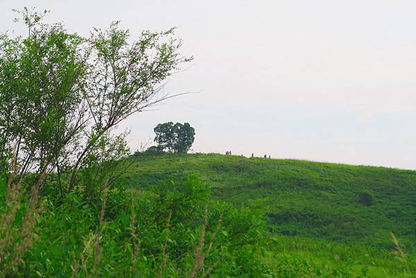 IMG_0707.JPG