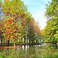 IMG_3840.jpg