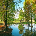 IMG_3913.jpg