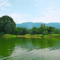 IMG_5682.jpg