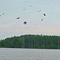 IMG_5868.jpg