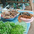 IMG_4142.jpg