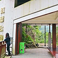 IMG_6505.jpg