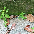 IMG_6523.jpg