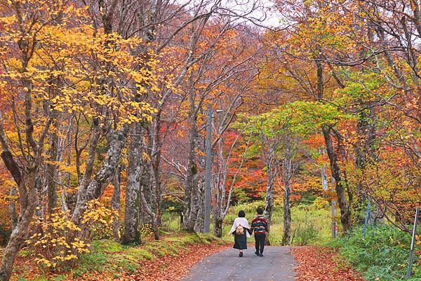 【日本｜東北】三天兩夜自由行攻略！仙台+山形完整行程大公開 