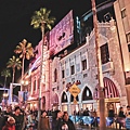 IMG_1884.jpg