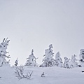 IMG_0911.jpg