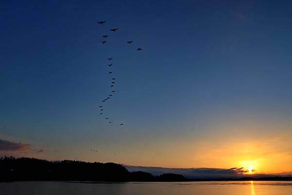 IMG_1339.jpg
