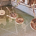 IMG_7652.jpg