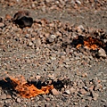 ND4_6415.jpg