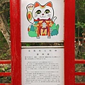 IMG_5806.jpg