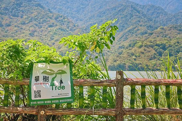 【桃園｜大溪】你沒玩過的石門水庫！路上衝浪、攀樹探險、無敵景