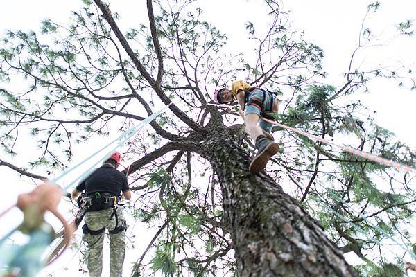 【桃園｜大溪】你沒玩過的石門水庫！路上衝浪、攀樹探險、無敵景