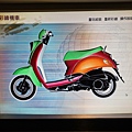 IMG_1647.jpg