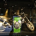 IMG_1755.jpg
