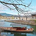 IMG_8975.jpg