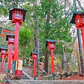 IMG_8981.jpg