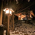 IMG_8381.jpg