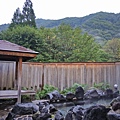 IMG_7003.jpg