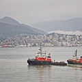 IMG_8252.jpg