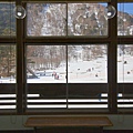 IMG_2015.jpg