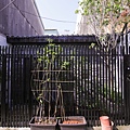 IMG_8233.jpg