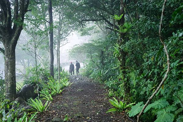 【桃園｜復興】捲起衣袖上山砍竹子去！泰雅族卡普部落 桂竹一日