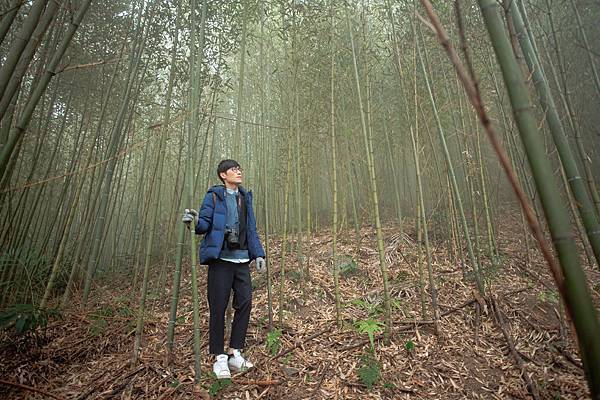 【桃園｜復興】捲起衣袖上山砍竹子去！泰雅族卡普部落 桂竹一日