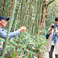 桂竹林漫走 獵人陷阱教學.png