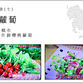 產地達人教你吃 - 愛知縣美食 炸櫻桃蘿蔔.png