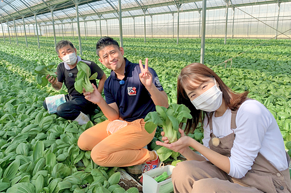 產地達人教你吃 愛知縣美食3.png