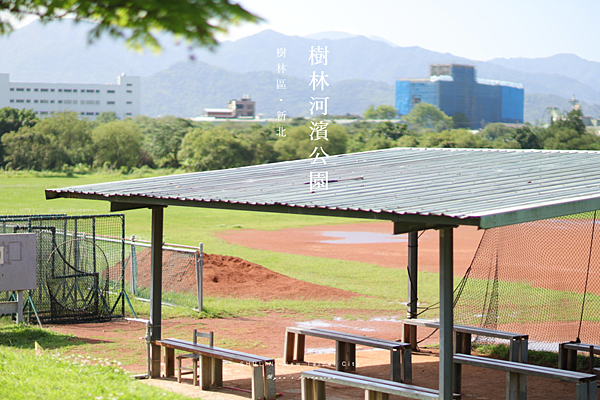 樹林河濱公園 棒球場.png