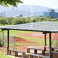 樹林河濱公園 棒球場.png