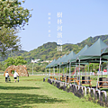 樹林河濱公園 露營區.png