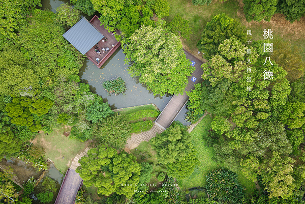 桃園八德旅遊 - 八德景點 八德埤塘自然生態公園介紹.png