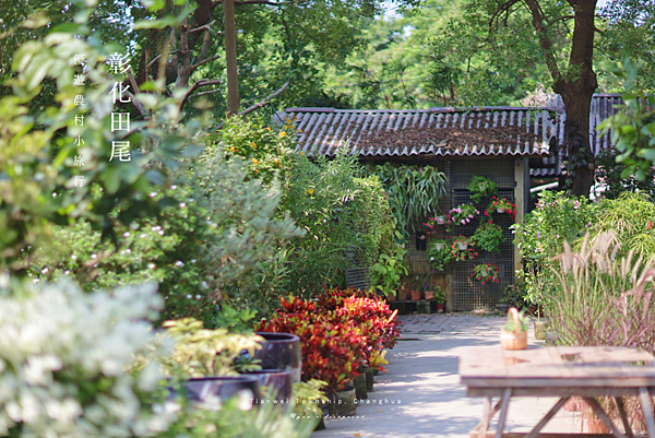 彰化旅遊 田尾旅遊景點 振億興花園 介紹.png