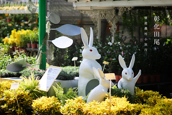 彰化旅遊 田尾旅遊 鳳凰花園 打卡景點.png