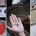 雲林古坑 旅遊景點推薦 谷泉咖啡莊園 親子烘咖啡豆體驗.png