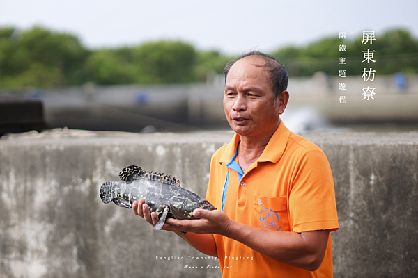 屏東枋寮 旅遊景點推薦 新龍社區 龍膽石斑的故鄉.png