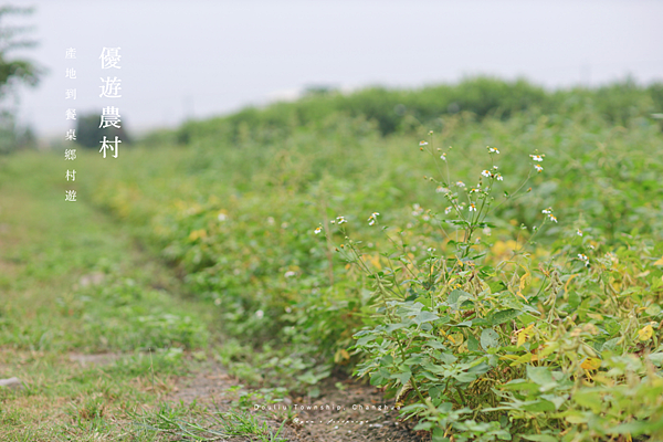 彰化旅遊 景點推薦 田野勤學 導覽.png