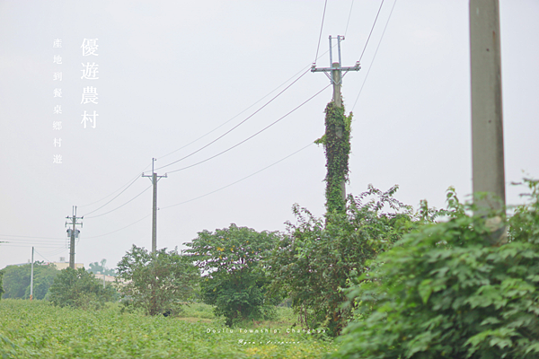 彰化旅遊 景點推薦 田野勤學 體驗.png