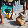 馬拉帕斯卡島 (Malapascua) 旅遊 Golden Trip.png
