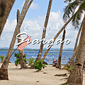 Siargao 錫亞高旅遊 Golden Trip.png