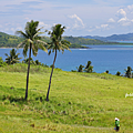 錫亞高旅遊 Siargao.png