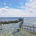 Siargao 錫亞高衝浪.png