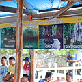 Siargao Sohoton Island Hopping.png