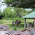 科隆景點 Calauit Safari Park.png