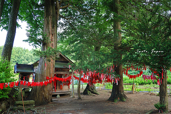 岩手遠野市景點 卯子酉神社.png