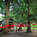 岩手遠野市景點 卯子酉神社.png